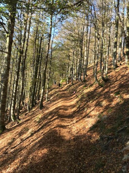 La Magie Entre Deux Lacs Gérardmer Buitenkant foto