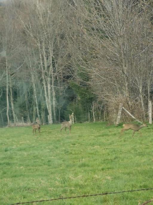 La Magie Entre Deux Lacs Gérardmer Buitenkant foto
