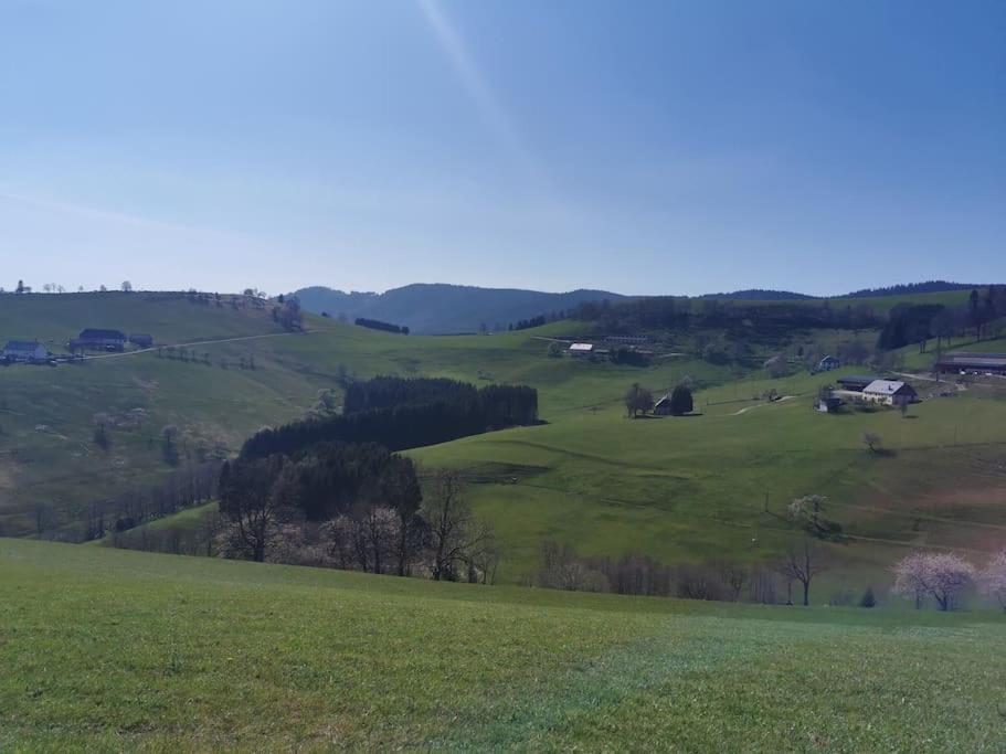 La Magie Entre Deux Lacs Gérardmer Buitenkant foto